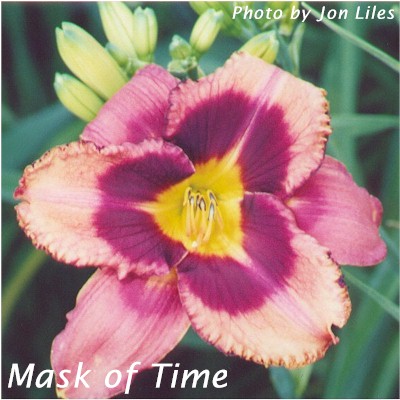 Mask of Time